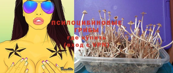 хмурый Алексин