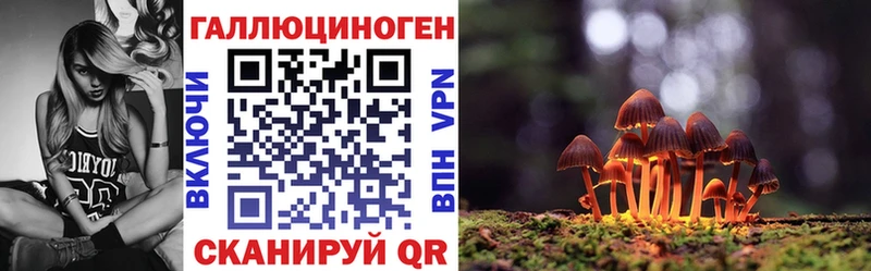 как найти наркотики  Зарайск  Псилоцибиновые грибы Psilocybine cubensis 